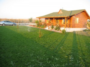 Ahşap Ev Bahçe